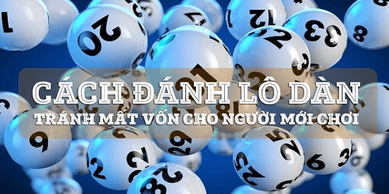 cach-nuoi-dan-de-dac-biet-mien-bac-1